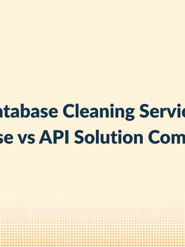 Database Cleaning Service: In-House vs API Solution Comparison
